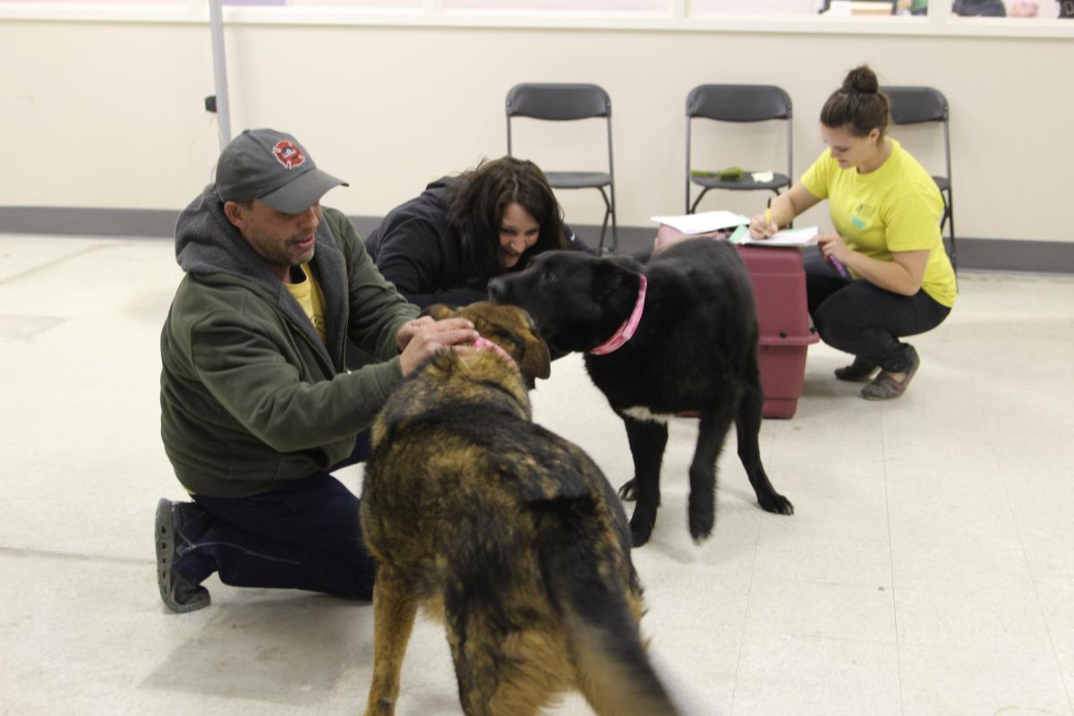 joyous reunion for Fort McMurray residents and their pets