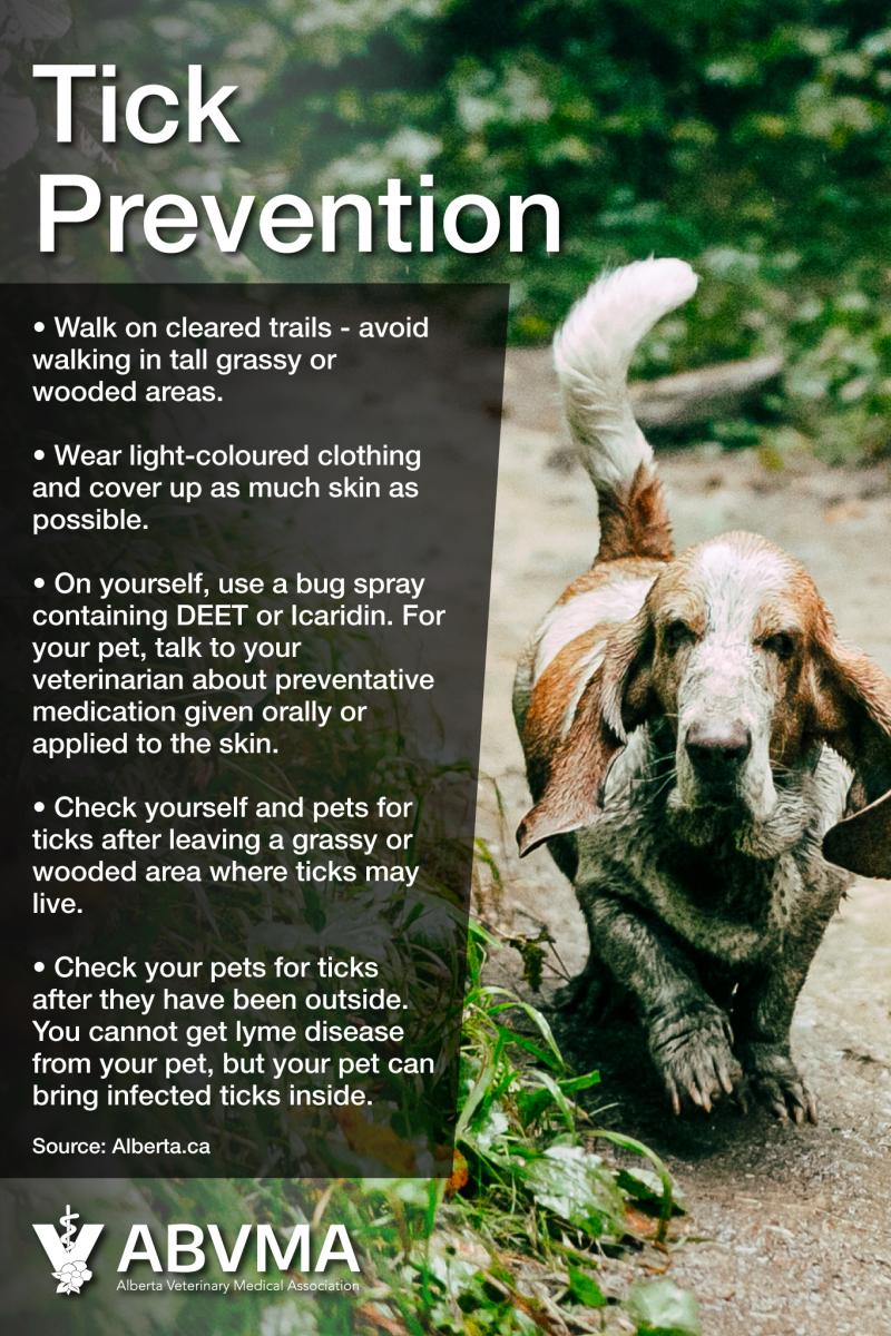tick-prevention_0.jpg